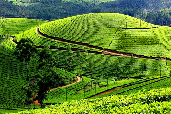 5 South India Holiday Experiences That You Should Not Miss